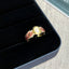 Garden Ring IV